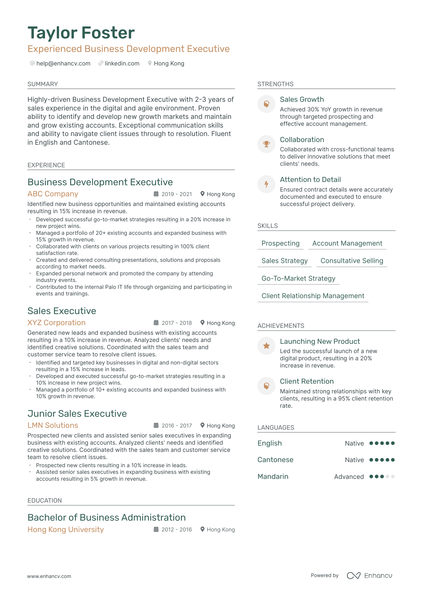 5 Vp Business Development Resume Examples And Guide For 2024 0251